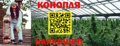 a pvp Ирбит