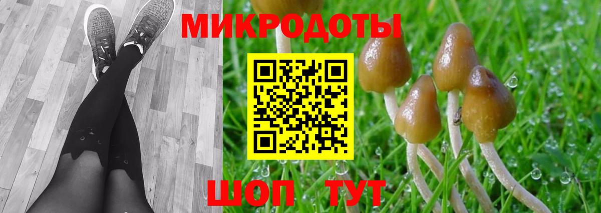 Псилоцибиновые грибы Cubensis Красноармейск